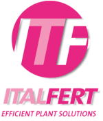 LOGO ITF-Slogan-3-sombra