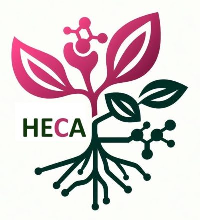 logo-heca